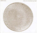 The Gold Hooped Nature Music CD