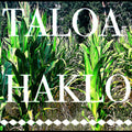 Taloa Haklo Music CD