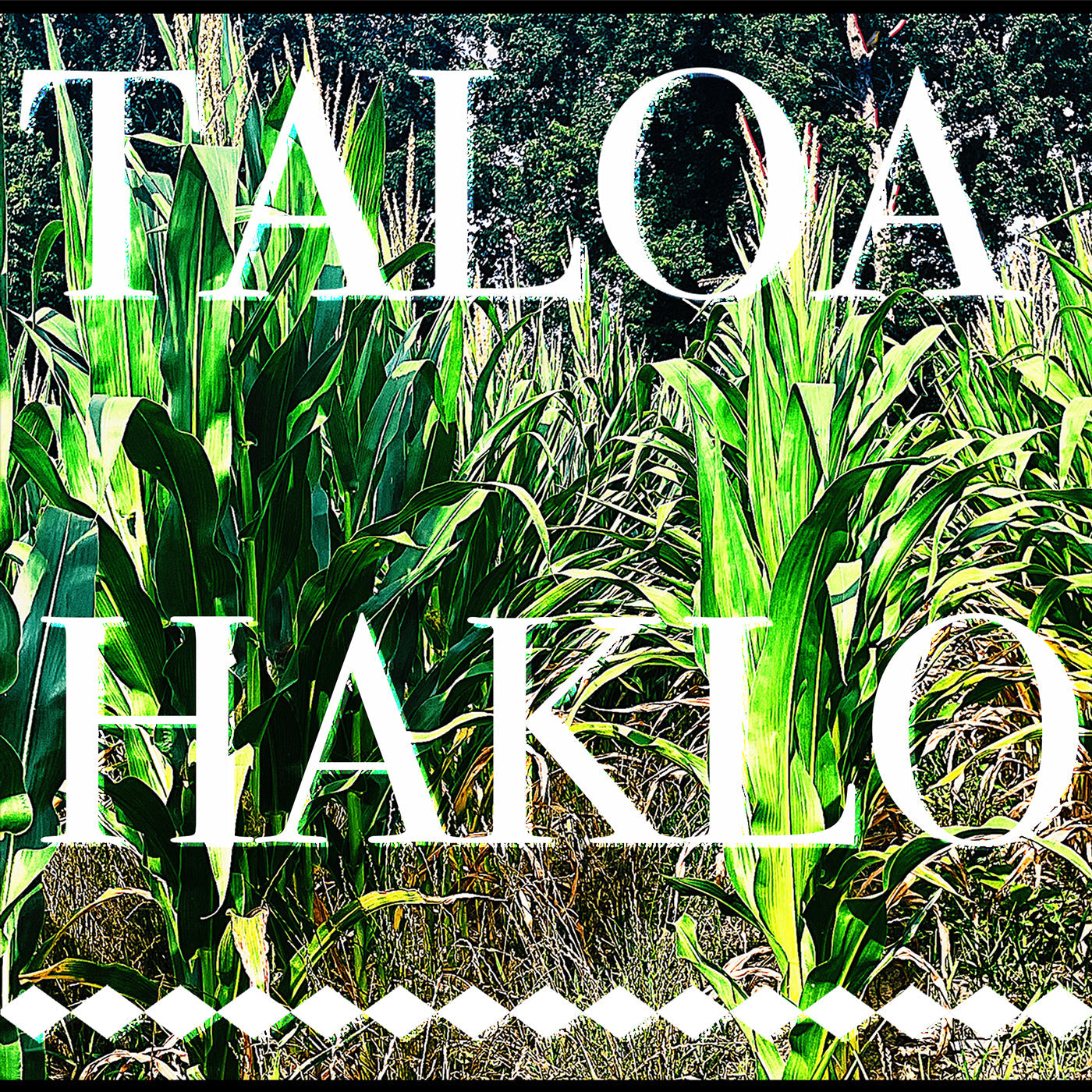 Taloa Haklo Music CD