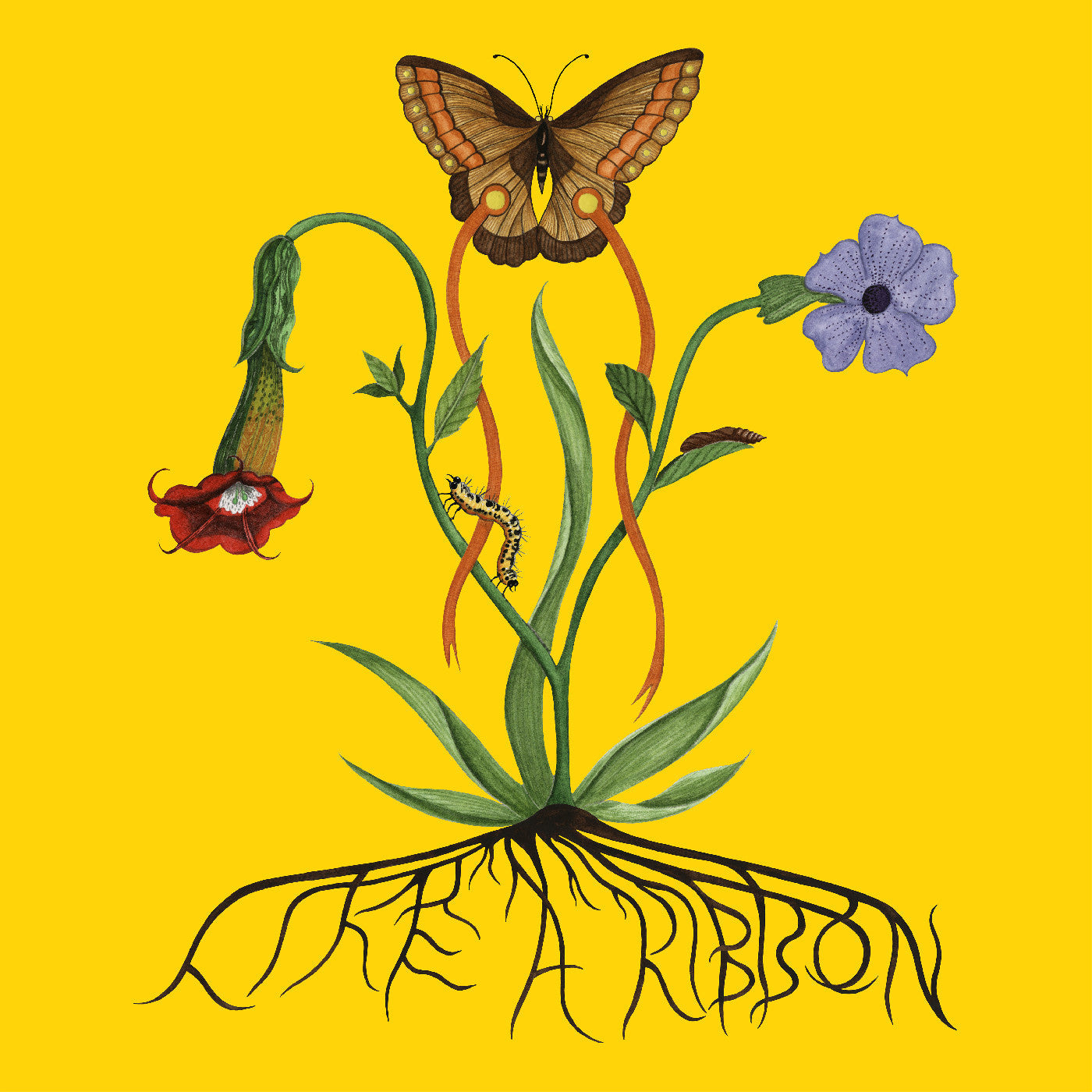 Like A Ribbon Music CD