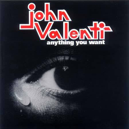 Anything You Want Vinyl Record