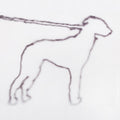 portrait of a dog Music CD