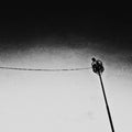 Tightrope |