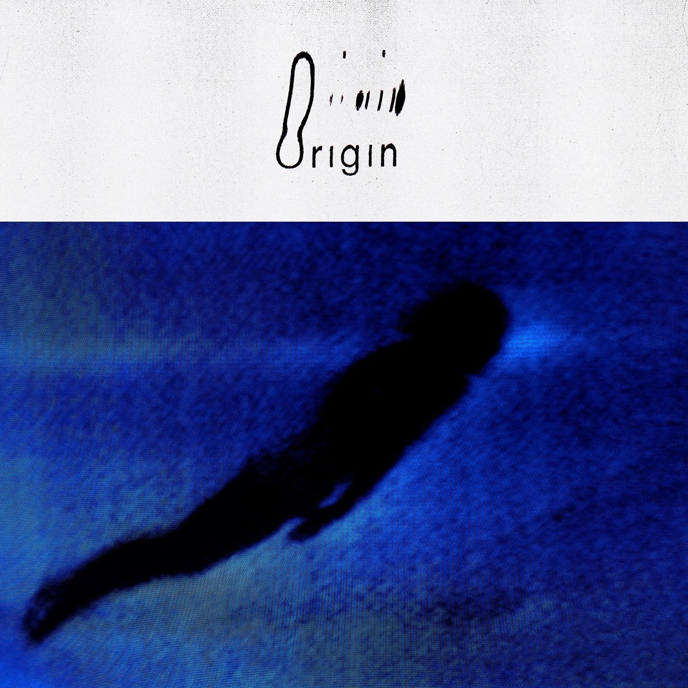 Origin Vinyl Record
