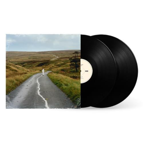 The Loop [2 LP] (Vinyl) Vinyl Record