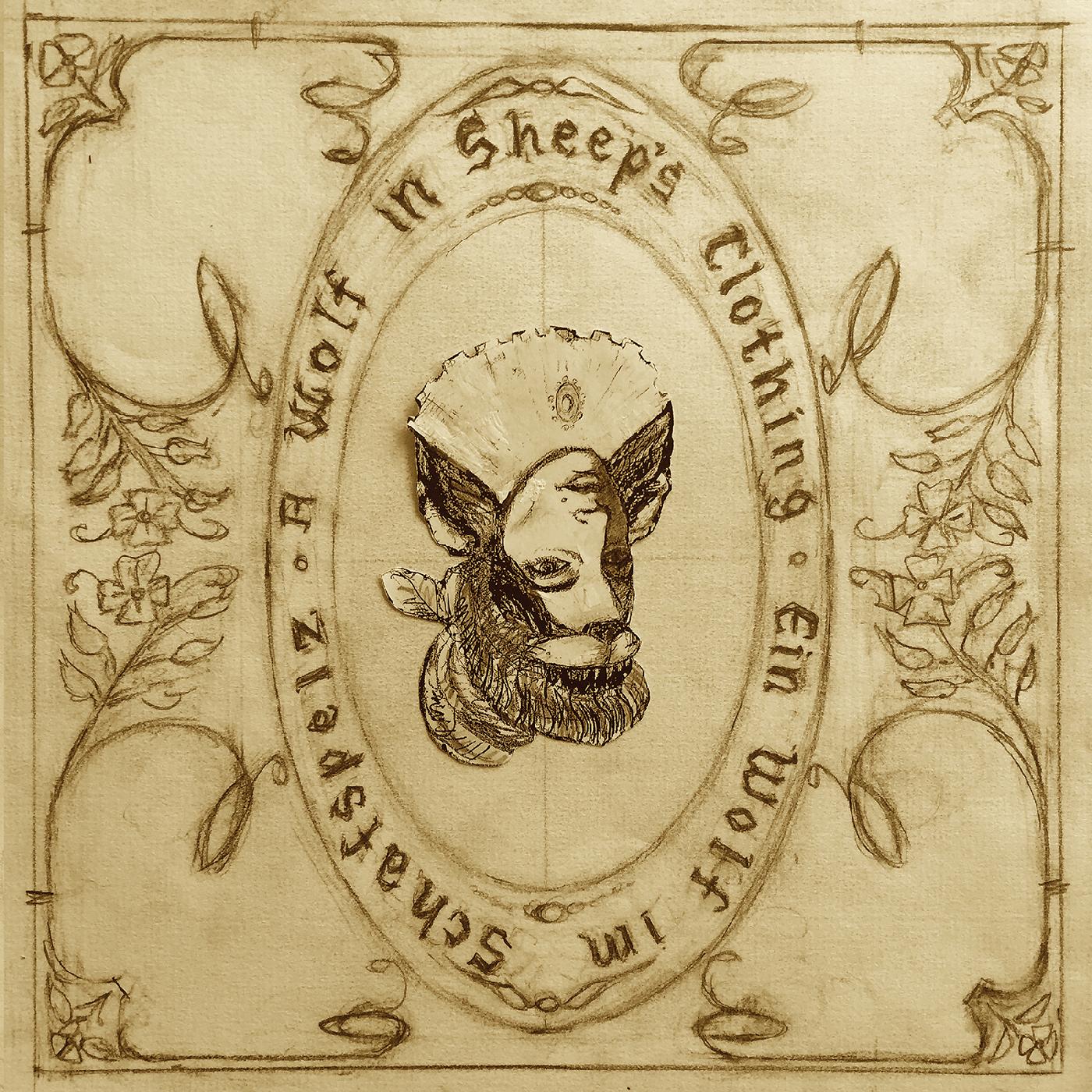 A Wolf in Sheeps Clothing Music CD