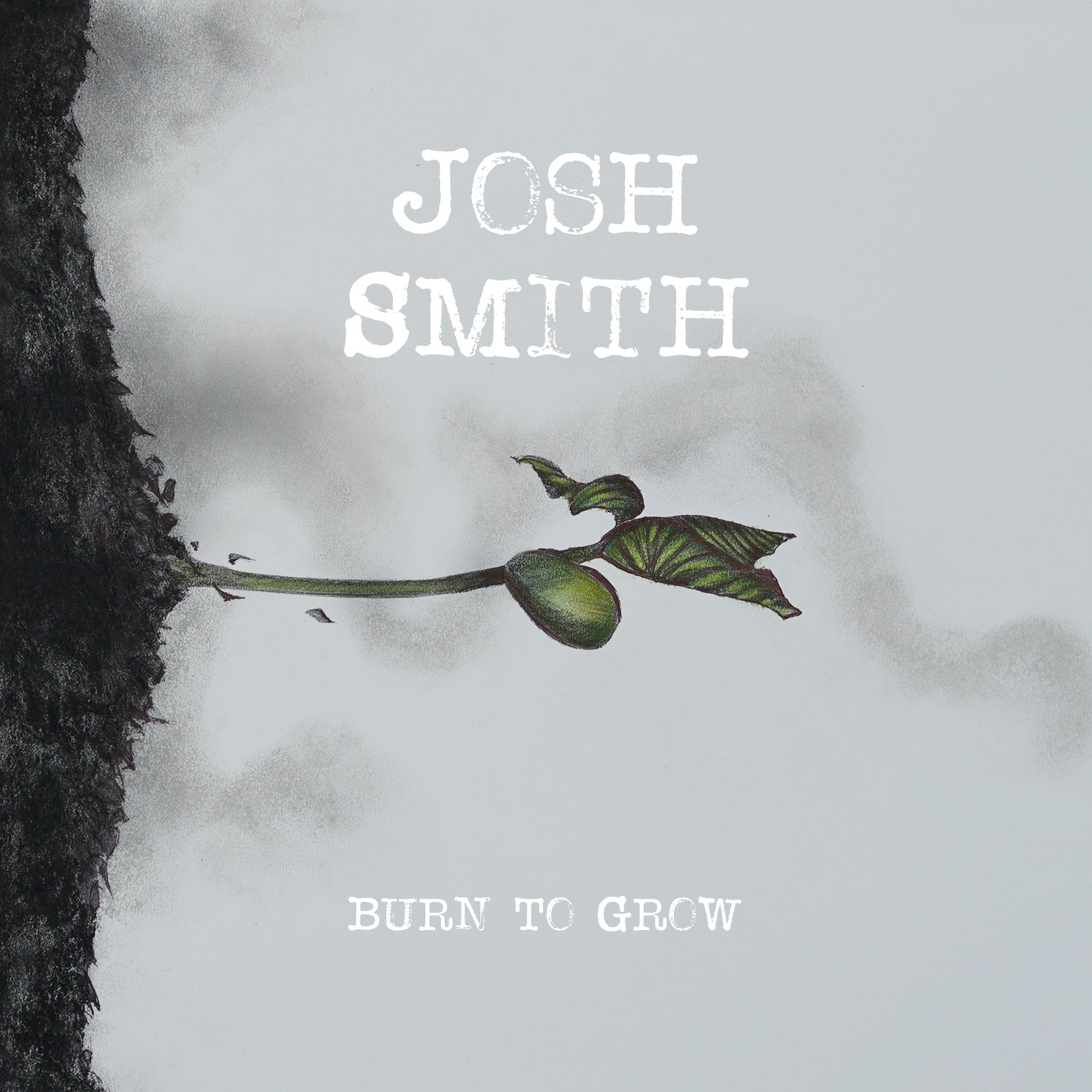 Burn To Grow Music CD