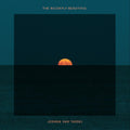 The Recently Beautiful Vinyl Record