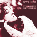 Strawberry Birthmarks Vinyl Record