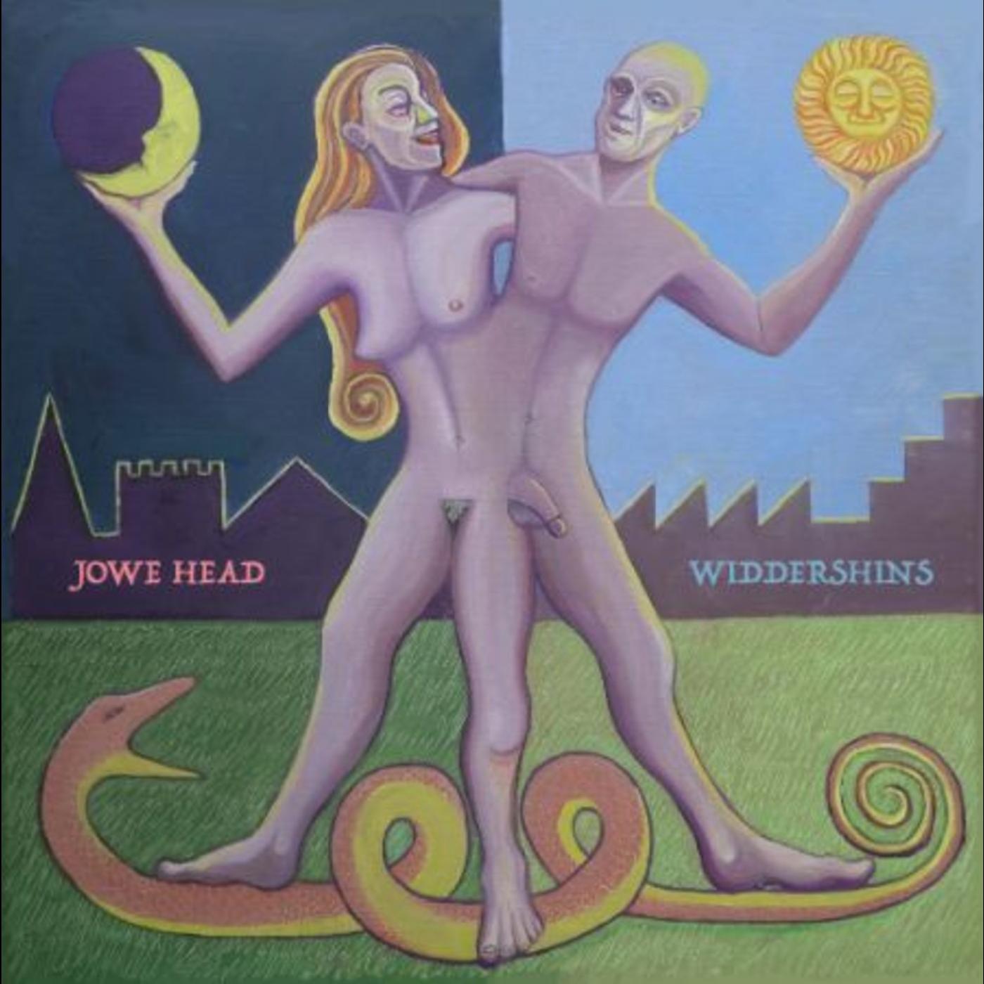 Widdershins Vinyl Record