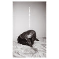 Julia Holter - Materia [Vinyl] Vinyl Record