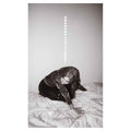 Julia Holter - Materia Music CD