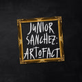 Art O Fact Vinyl Record