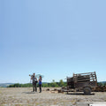 Wild Protest |