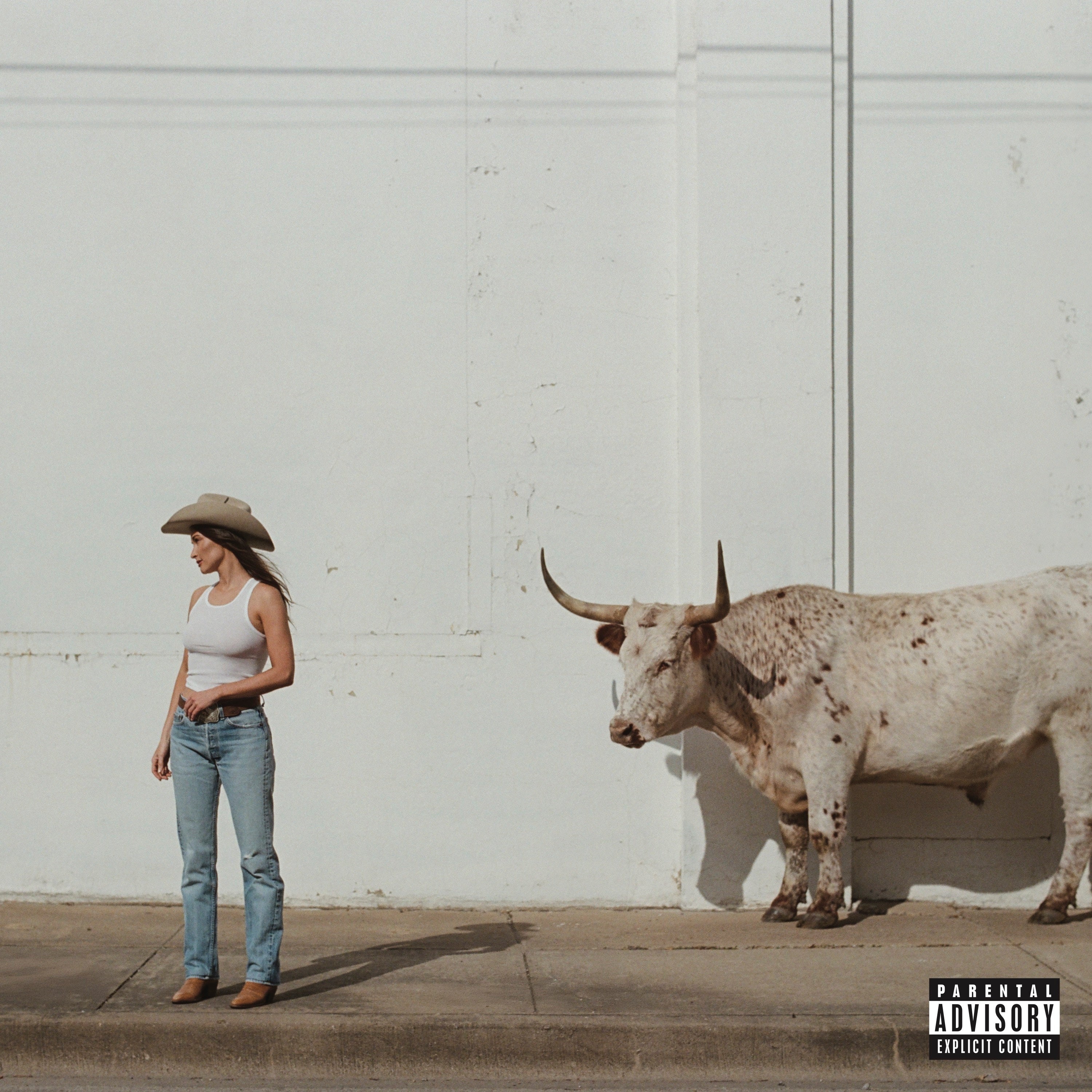 Middle Of Nowhere [Whiskey Vinyl] Vinyl Record