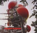 Tomato Wierdo Music CD