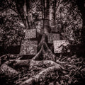 Harmony Of Difference (CD) | Mint (M) Mint (M)