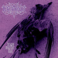 Brave Murder Day Music CD