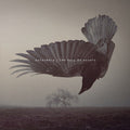 Katatonia - The Fall Of Hearts (10Th Anniversary) [Pearl Dawn Vinyl] [2LP] [Vinyl] Vinyl Record