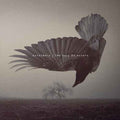 Katatonia - The Fall Of Hearts (10Th Anniversary) [Pearl Dawn Vinyl] [2LP] Vinyl Record