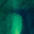 Tiergarten Vinyl Record