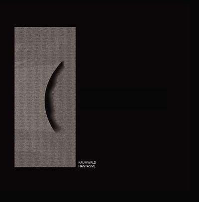 Hantasive Vinyl Record
