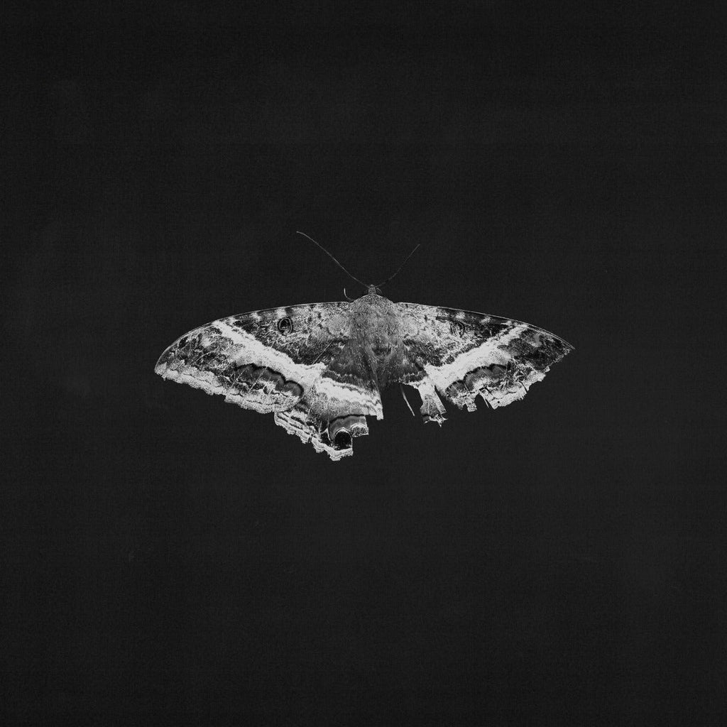 To Pimp A Butterfly (10 Year Anniversary Edition) - Alternate Artwork [180G 2 Lp] Vinyl Record