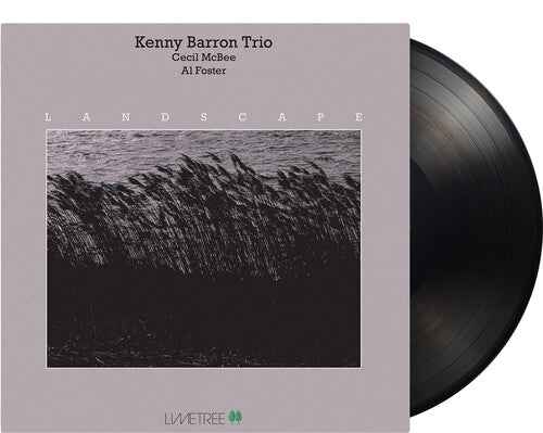 Kenny Barron Trio - Landscape Vinyl Record