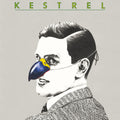 Kestrel Vinyl Record