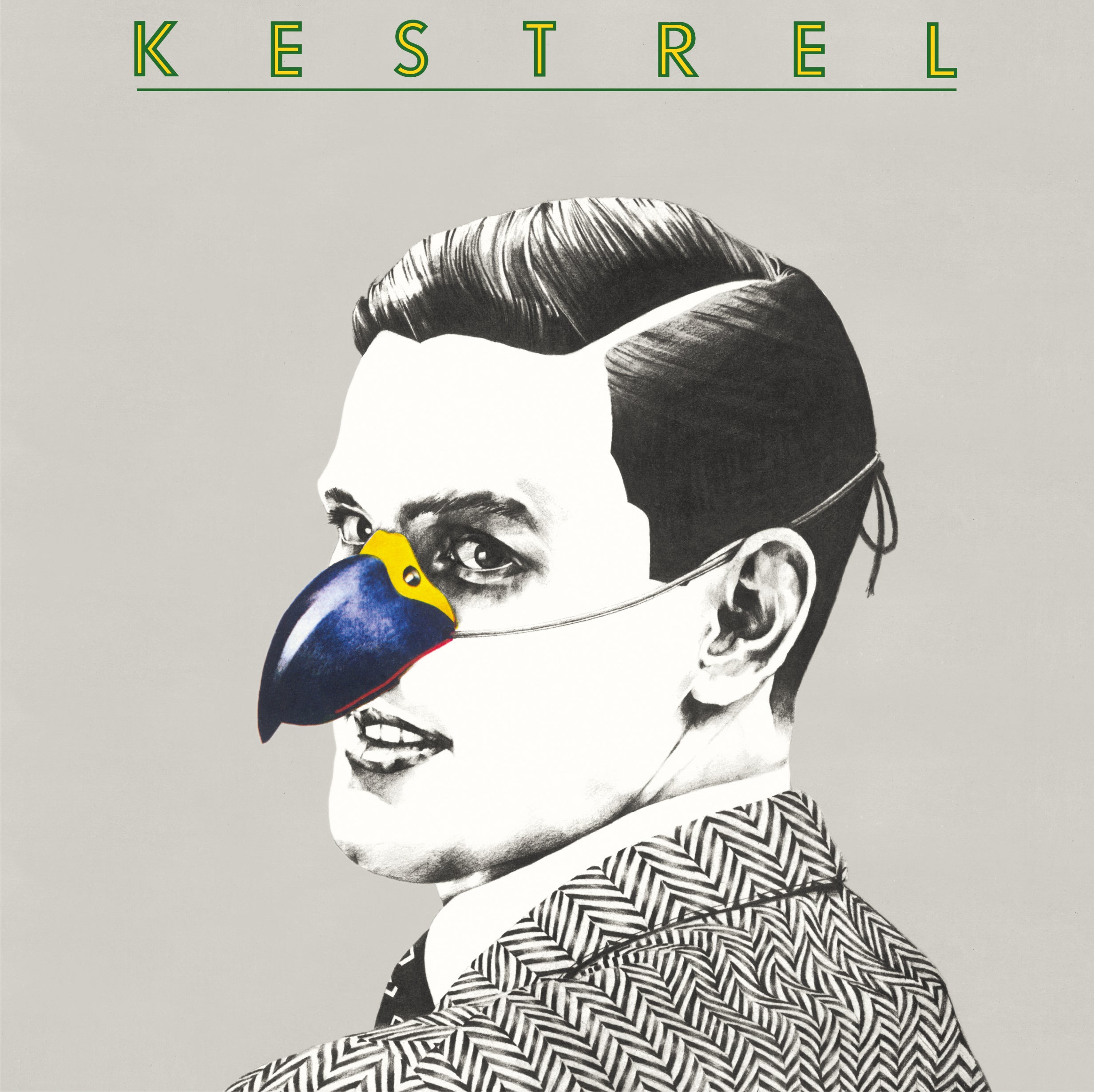 Kestrel Vinyl Record