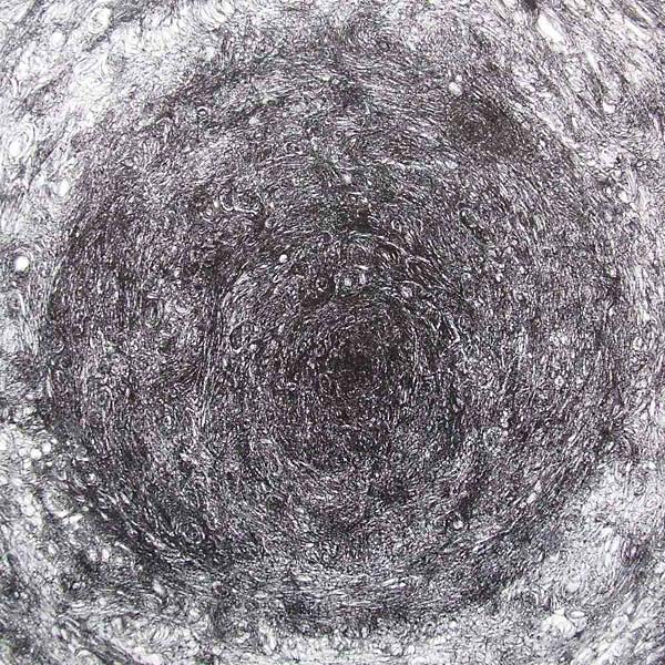 The Back Room Vinyl Record