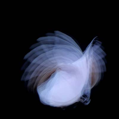 Feathermagnetik Music CD