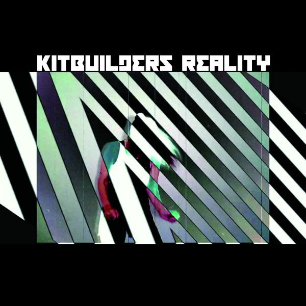 Reality Vinyl Record