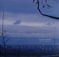 Stadtlandfluss Vinyl Record