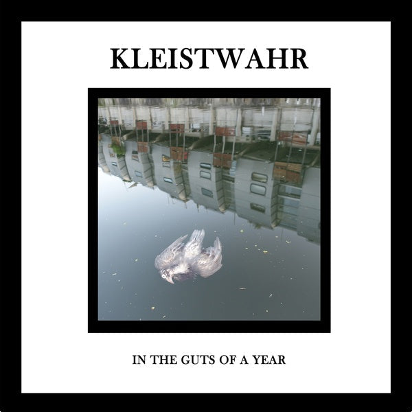 In the Guts of a Year Music CD