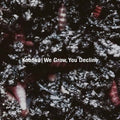We Grow, You Decline Music CD