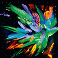 Now Here No Where Music CD