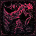 Castlevania The Adventure Rebirth Vinyl Record