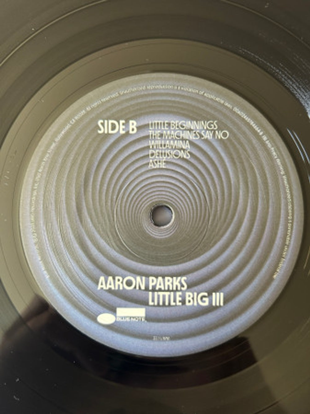 Aaron Parks – Little Big III (LP Vinyl) Vinyl Record