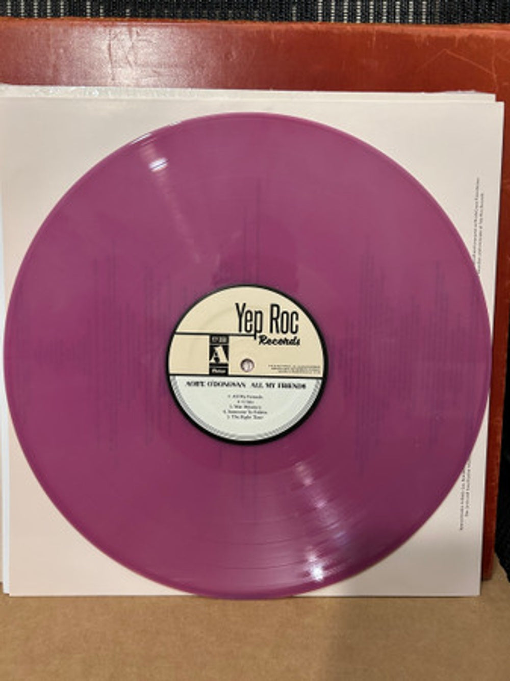 Aoife O'Donovan – All My Friends (LP Vinyl) Vinyl Record