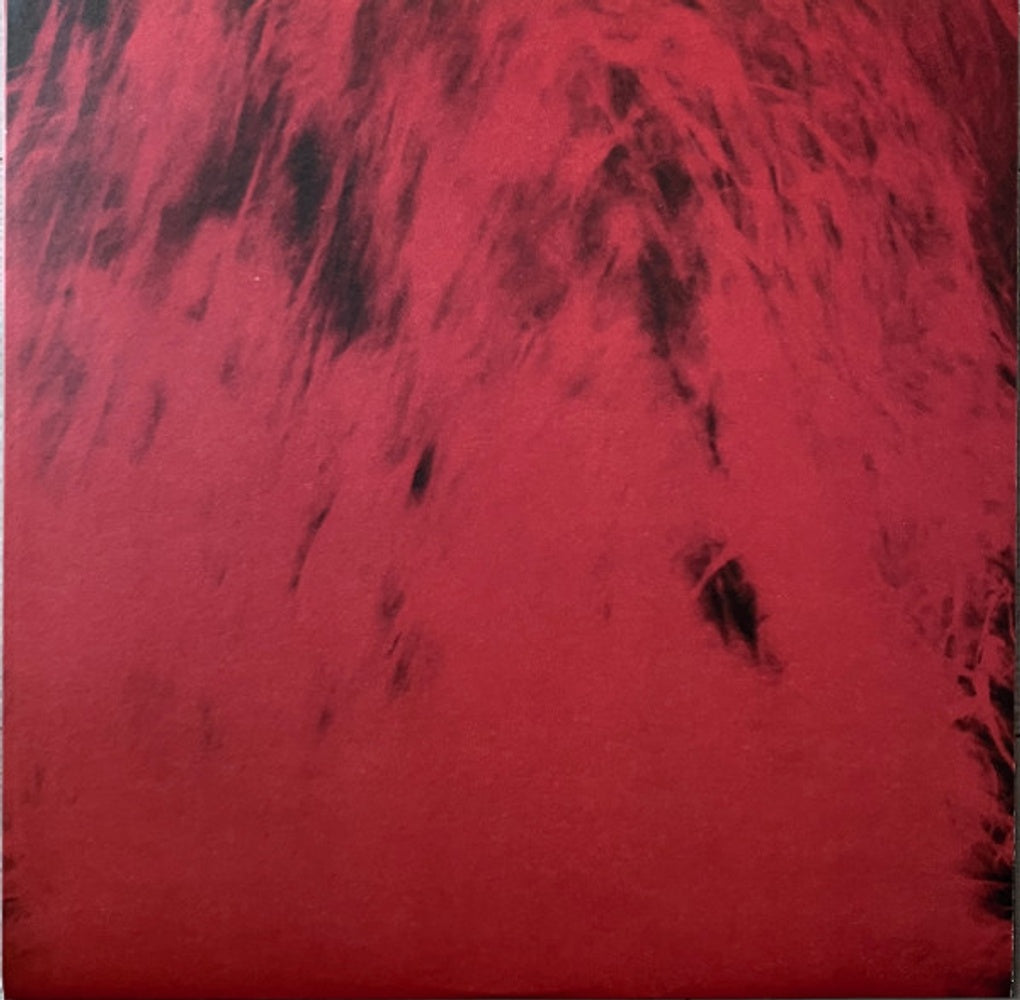 Dead Can Dance – Spiritchaser (2-LP Vinyl) Vinyl Record