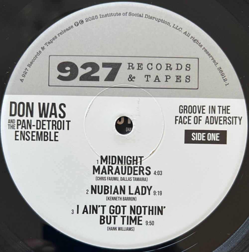 Don Was – Groove In The Face Of Adversity (LP Vinyl) Vinyl Record