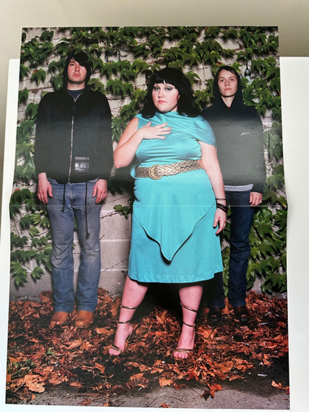 Gossip – Standing In The Way Of Control (LP Vinyl) Vinyl Record
