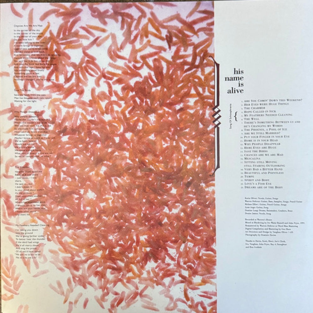 His Name Is Alive – Home Is In Your Head (LP Vinyl) Vinyl Record