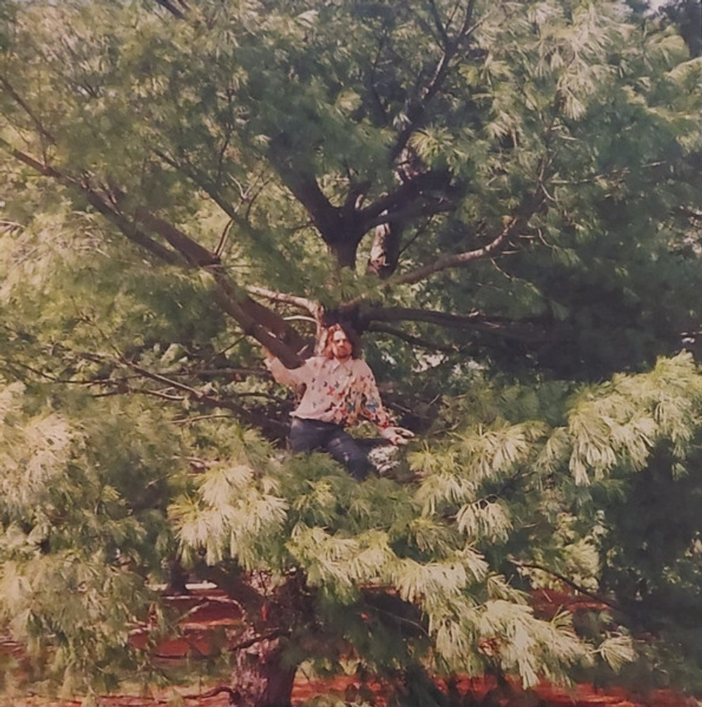 Kevin Morby – More Photographs (A Continuum) (LP Vinyl) Vinyl Record