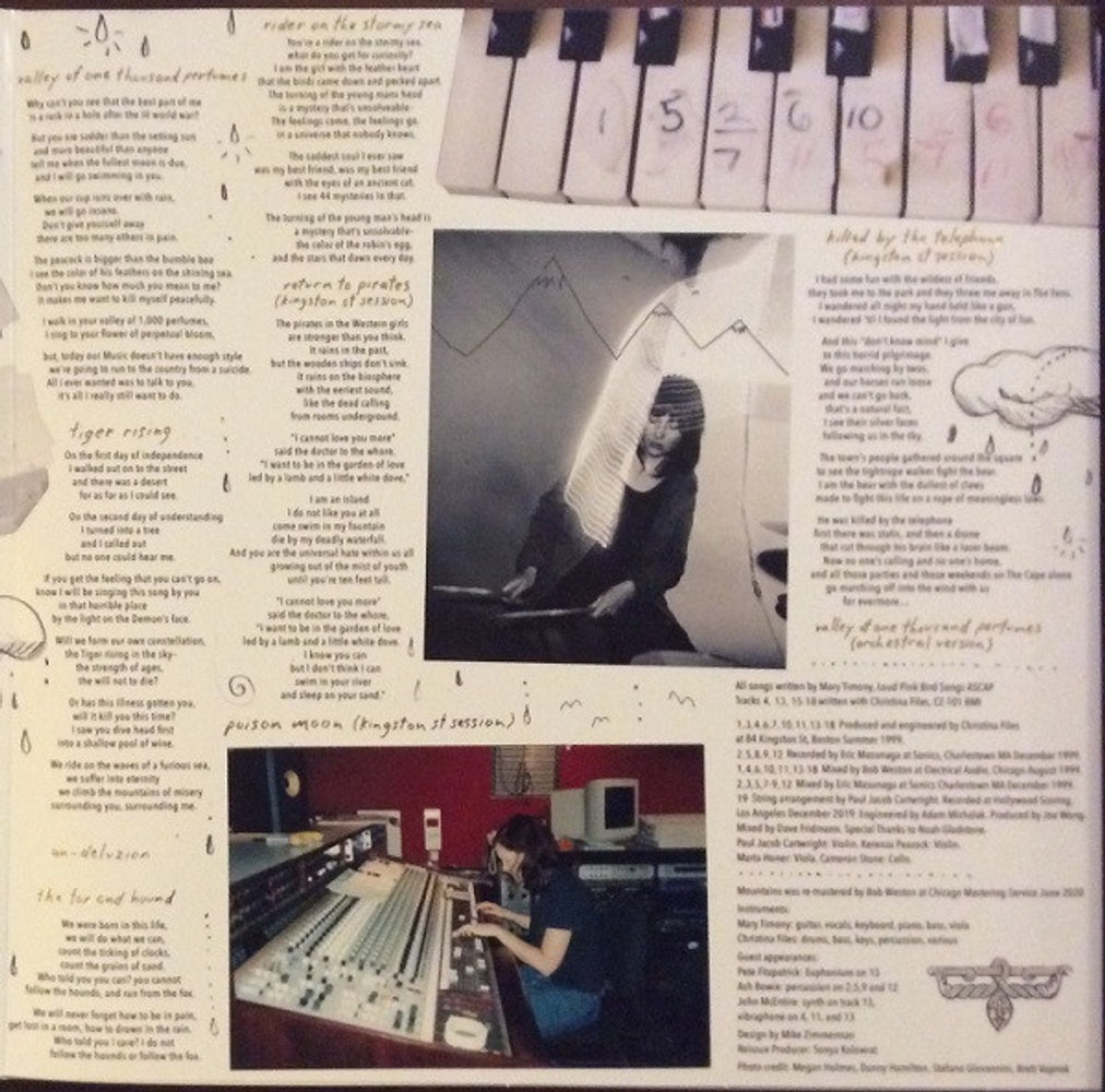 Mary Timony – Mountains (2-LP Vinyl) Vinyl Record