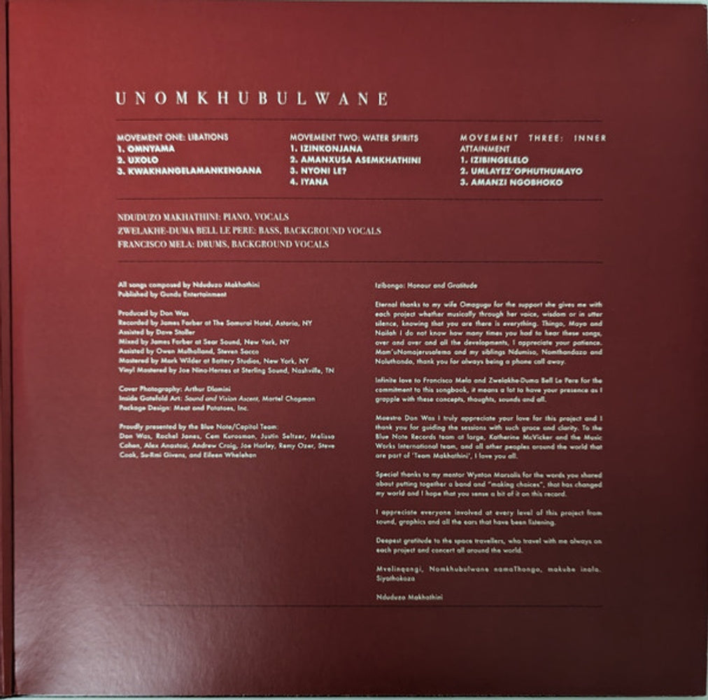 Nduduzo Makhathini – Unomkhubulwane (2-LP Vinyl) Vinyl Record