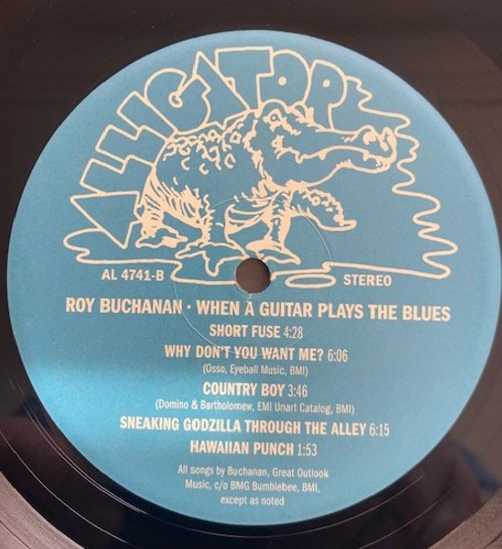Roy Buchanan – When A Guitar Plays The Blues (LP Vinyl) Vinyl Record