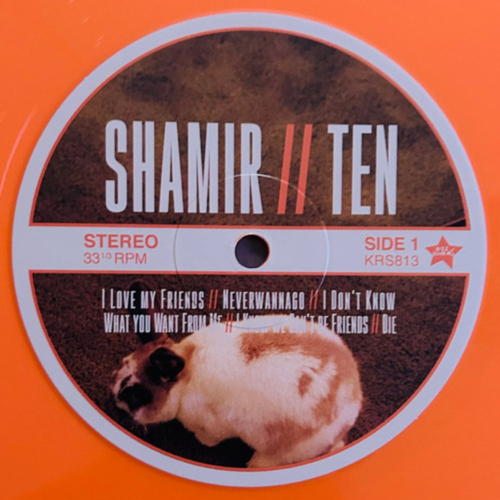 Shamir – Ten (LP Vinyl) Vinyl Record