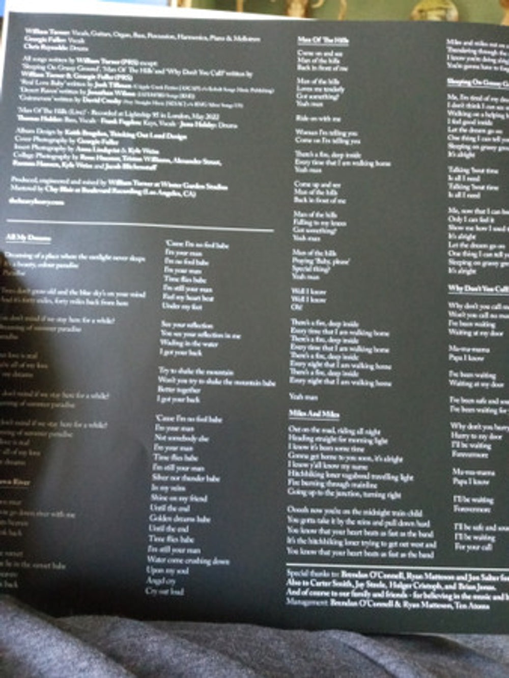 The Heavy Heavy – Life And Life Only: Expanded Edition (LP Vinyl) Vinyl Record